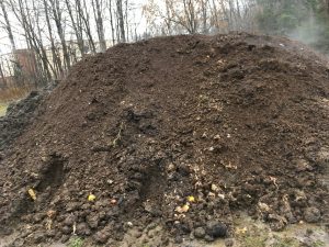 compost pile